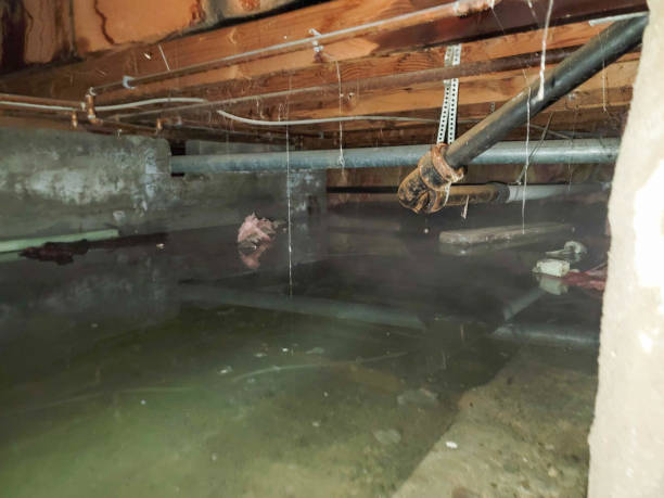 Best Sewage cleanup and water damage restoration  in Ponca City, OK