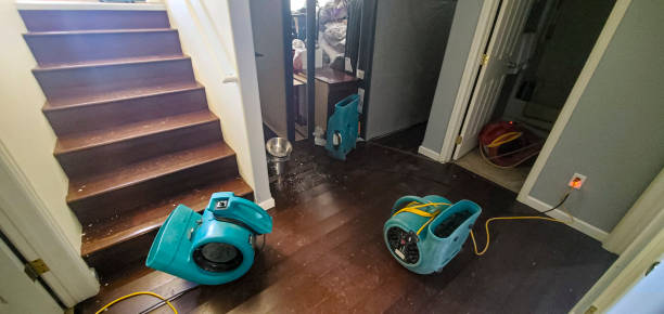 Best Fire Damage Restoration  in Ponca City, OK