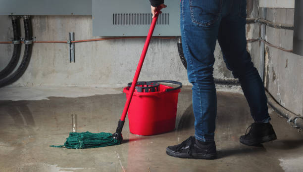 Best Professional water damage repair  in Ponca City, OK
