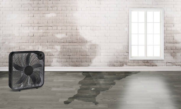 Best Water damage restoration near me  in Ponca City, OK