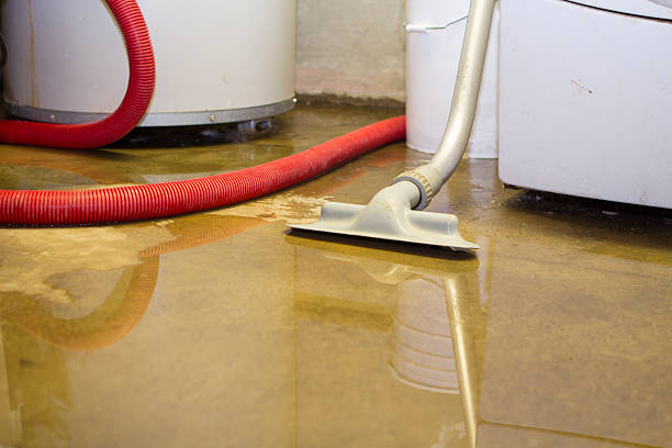 Best Professional water damage repair  in Ponca City, OK