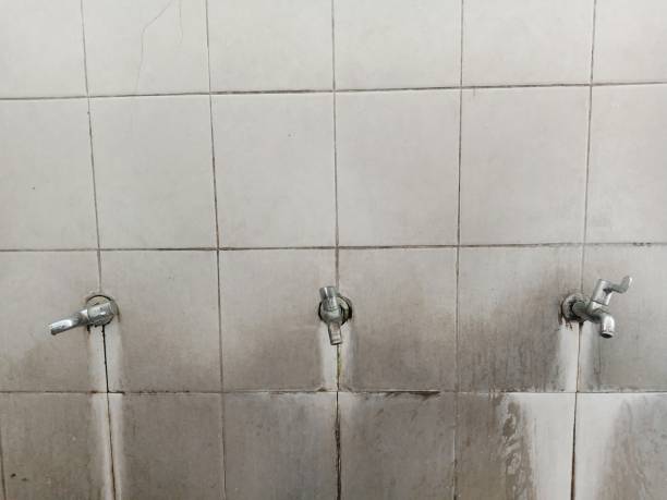 Best Flood damage cleanup  in Ponca City, OK